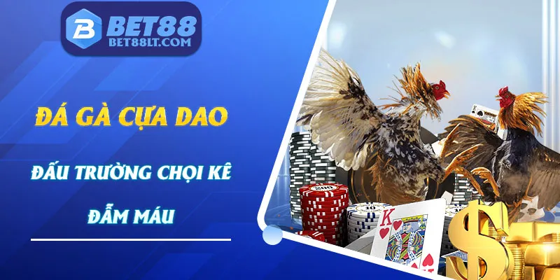 Đá Gà Cựa Dao Bet88 - Chiêm Ngưỡng Loạt Trận Đấu Đẫm Máu